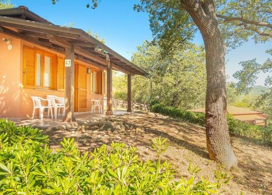 Holiday Complex With Pool in Andora 1
