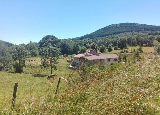Le Moulin de la Fortie, maison d'hôtes 1