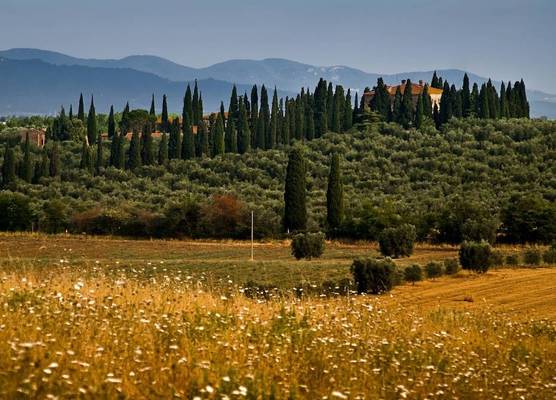 Tenuta di Poggio Cavallo 1