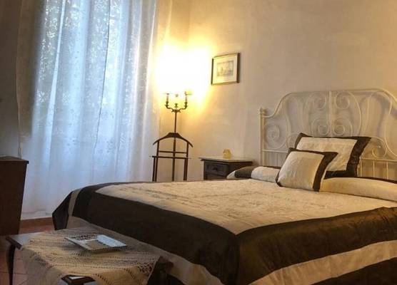 Alex Home 1