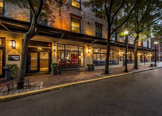 Staypineapple, A Delightful Hotel, South End 1
