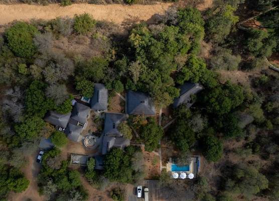 Bushbaby River Lodge 1