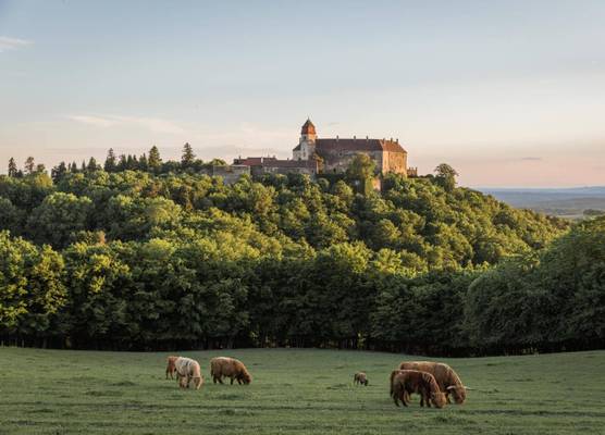 Burg Bernstein 1