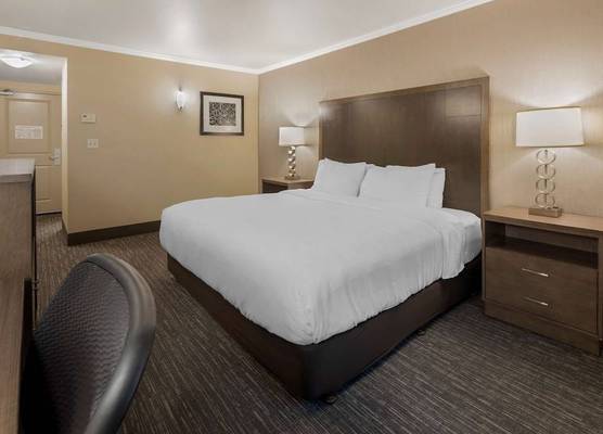 Best Western Plus Chena River Lodge 1