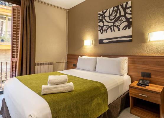 Hotel Aneto 1