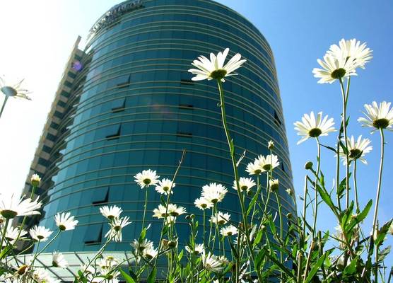 Suites Camino Real 1