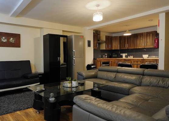 Swanky Apartment 1