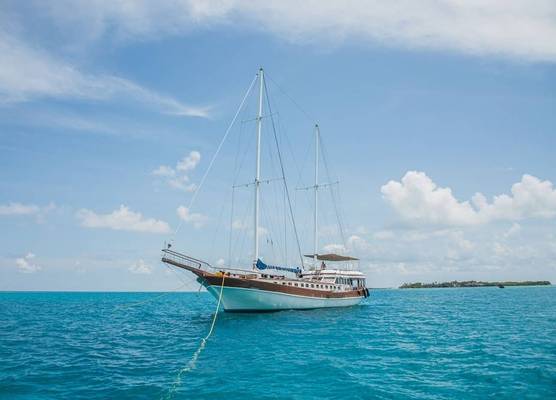 Akoya Pearl 1