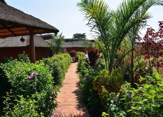 Red Earth Kabini 1