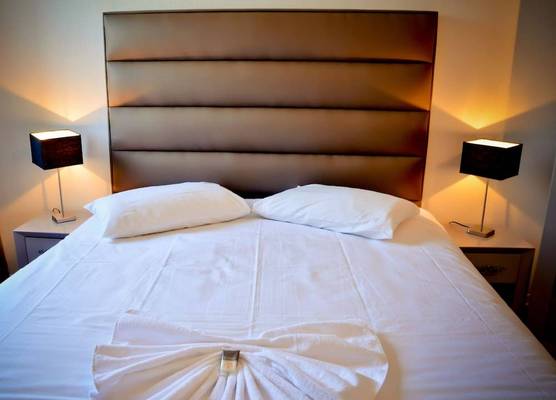 Adonis Hotel Bayonne 1