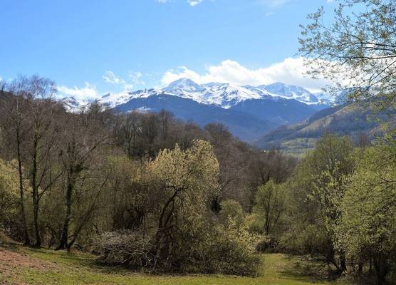 Le Perchoir des Pyrénées 1