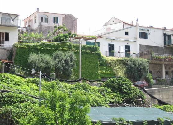 Dint'a Torre Bed and Breakfast 1