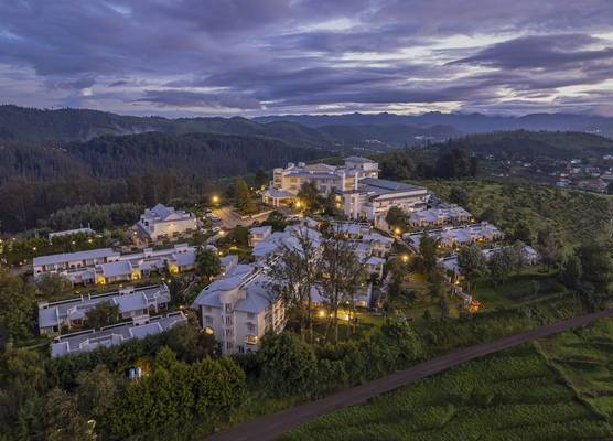 Sterling Ooty Fern Hill 1