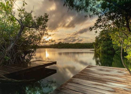 Yaxchen Tulum Cabañas & Cenote 1