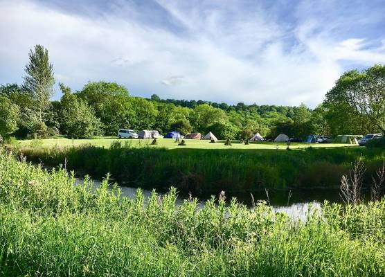 Cotswolds Camping at Holycombe 1