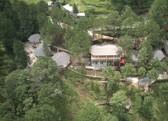 The Woods Retreat 1