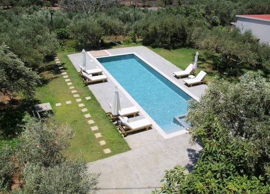 olive view 1