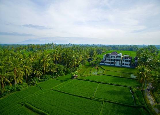 The LUXE Ubud - a Boutique Hotel 1