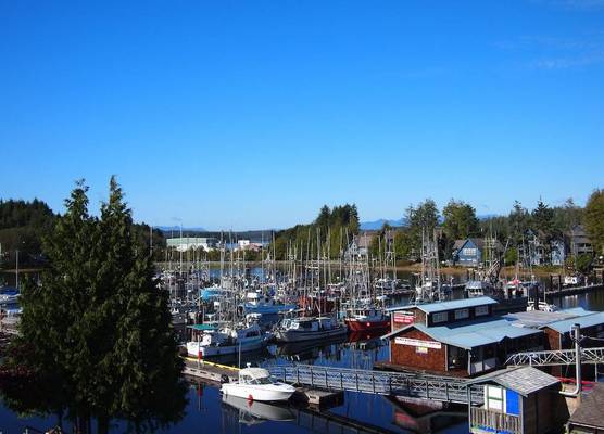 West Coast Motel on the Harbour 1