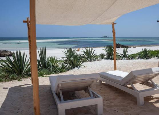 Gecko Resort 1