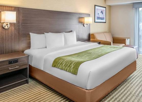 Comfort Inn Chatham 1