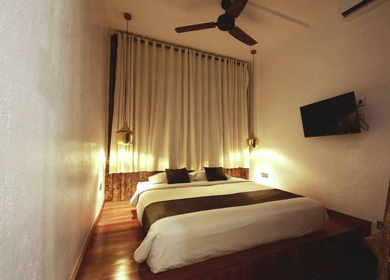 Echoland Boutique Bed And Breakfast 1