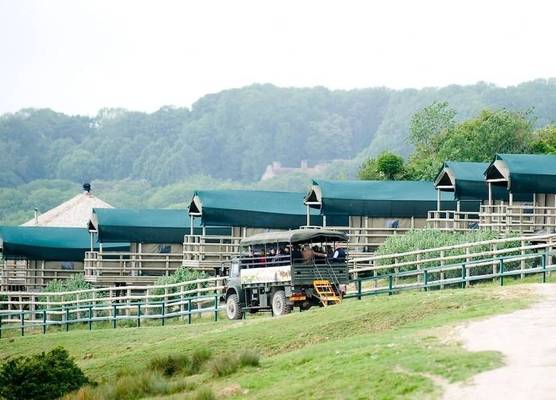 Port Lympne Reserve - Livingstone Lodge 1