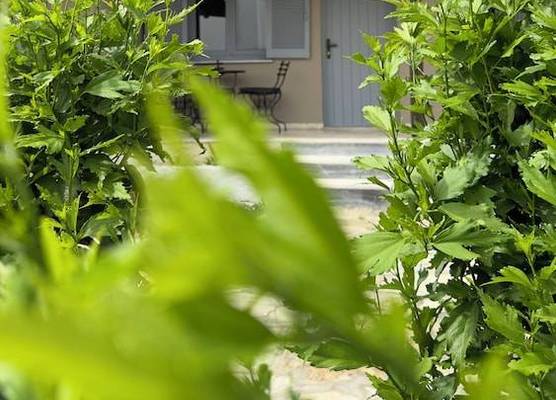 Olga's Sea & Garden View Studios, 400m from Ipsos Beach 1