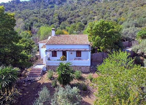 Casas Rurales Los Algarrobales 1