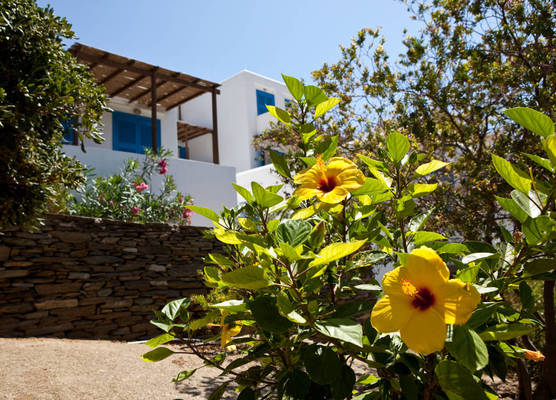 Alexandros Hotel 1