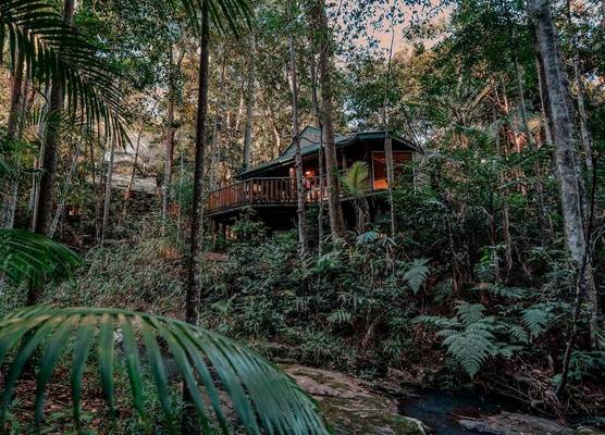 Narrows Escape Rainforest Retreat 1