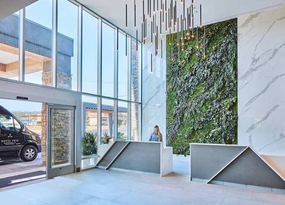 Hotel Trio Healdsburg 1
