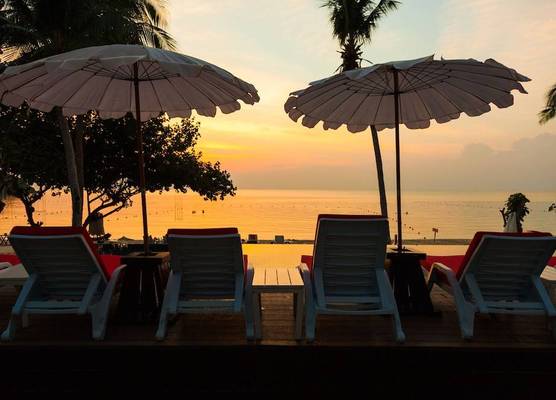Kerala Coco Resort 1