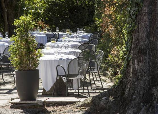 Hotel Serenella 1