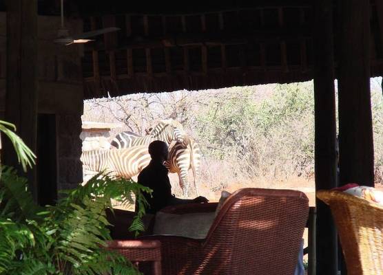 Man Eaters Lodge 1