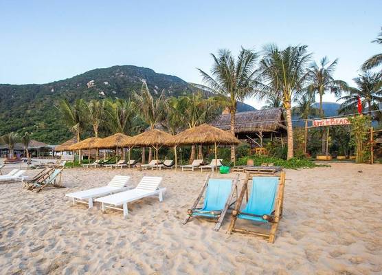 Jungle Beach 1