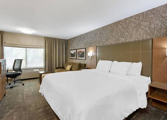 Best Western Plus CottonTree Inn 1