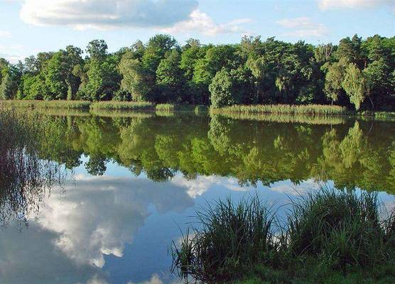 Hotel & SPA Sommerfeld - Adults Only 1