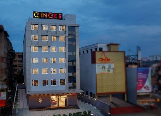 Ginger Patna 1