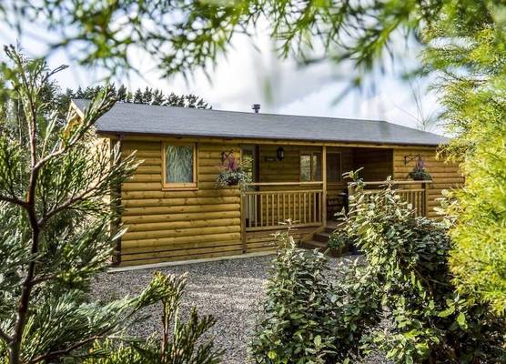 Fern Lodge - 2 Bedroom Log Cabin - Saint Florence - Tenby 1