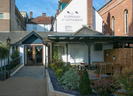 The Elephant at the Market 1