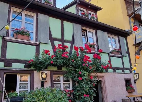 Maison Gambrinus 1
