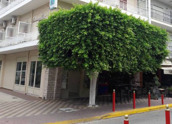 Nestor 1