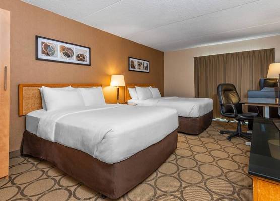 Comfort Inn Winnipeg South 1