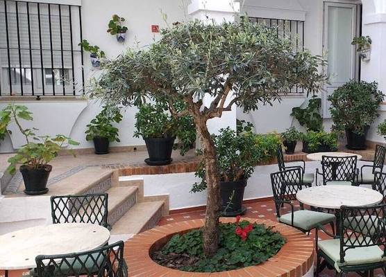 Hotel Los Olivos 1