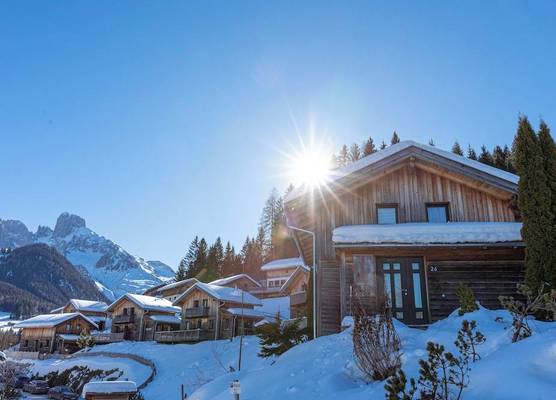 Alpendorf Dachstein West by ALPS RESORTS 1