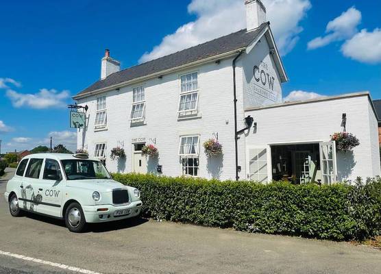 The Cow Dalbury 1