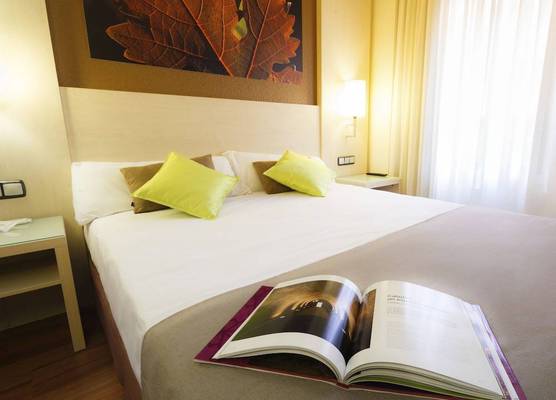 Hotel Condes de Haro 1
