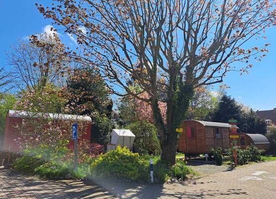 Hotel Columbus und Glamping 1