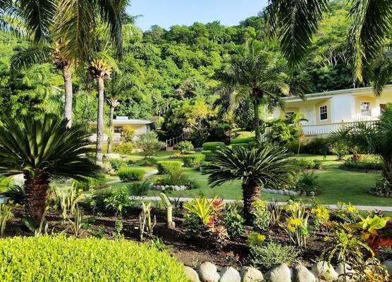 Blue Horizons Garden Resort 1